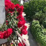 Lodge - Al Alba Lanzahita