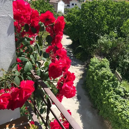 بيت خشبي - Al Alba Lanzahita