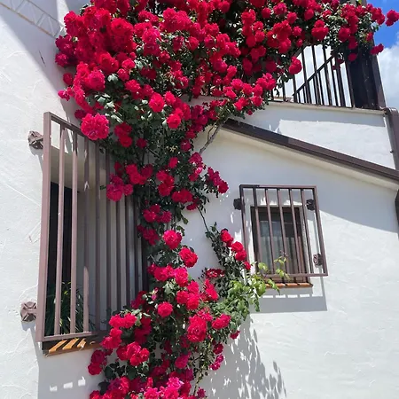 - Al Alba Lodge Lanzahita