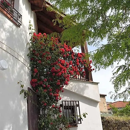 Lodge - Al Alba