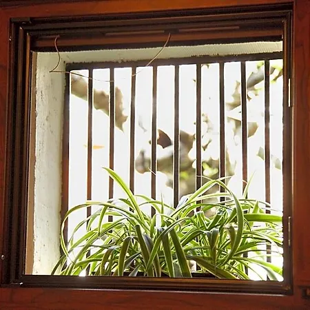 Lodge - Al Alba Lanzahita