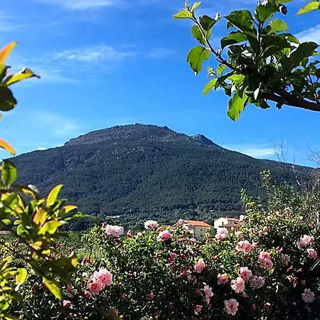 - Al Alba Lodge