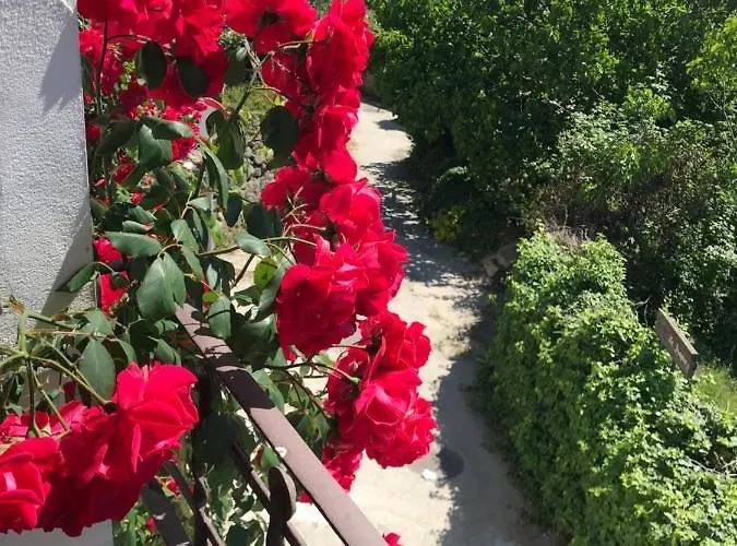 Lodge - Al Alba Lanzahita